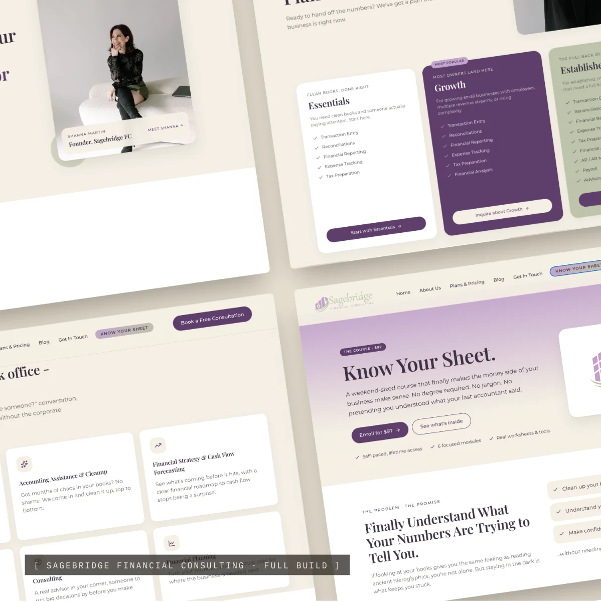 Sagebridge Financial Consulting project showcase